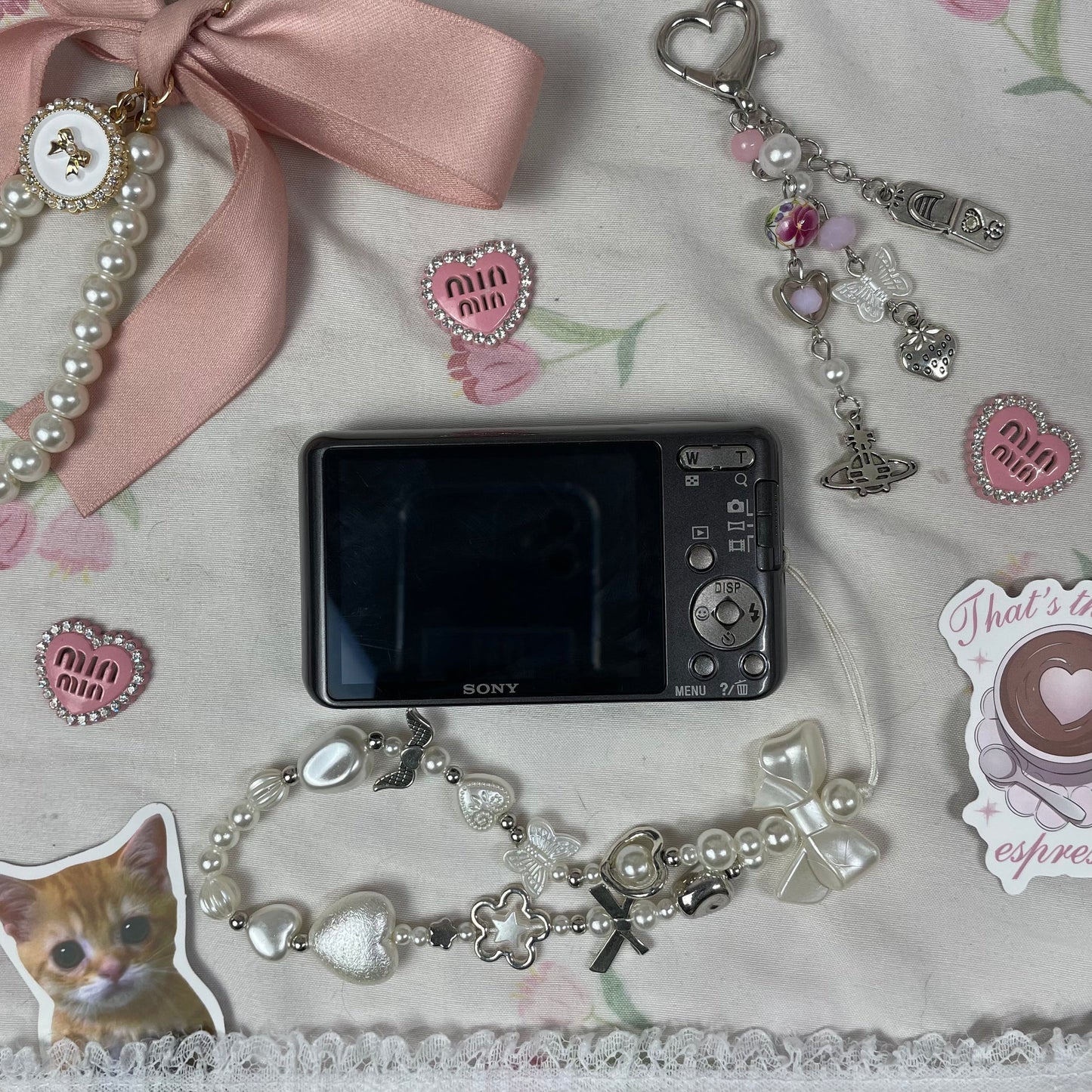 Shecameras™ Sony Cyber-shot DSC-W570